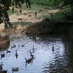 Hébergement de vacances Beautiful With Swimming Pool Monprimblanc