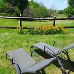 Hébergement de vacances Beautiful With Swimming Pool *