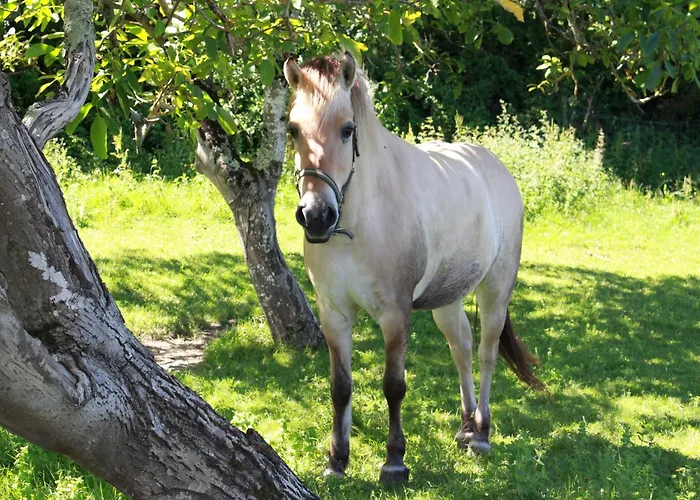 Beautiful With Swimming Pool Casa vacanze
